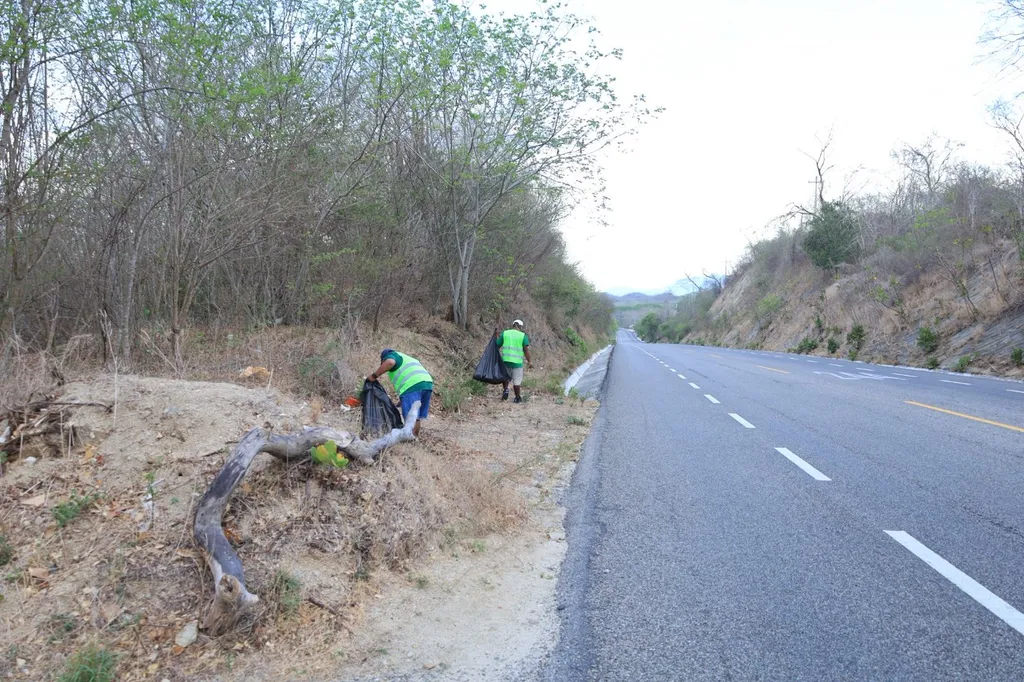 Limpieza en Carretera Federal 200