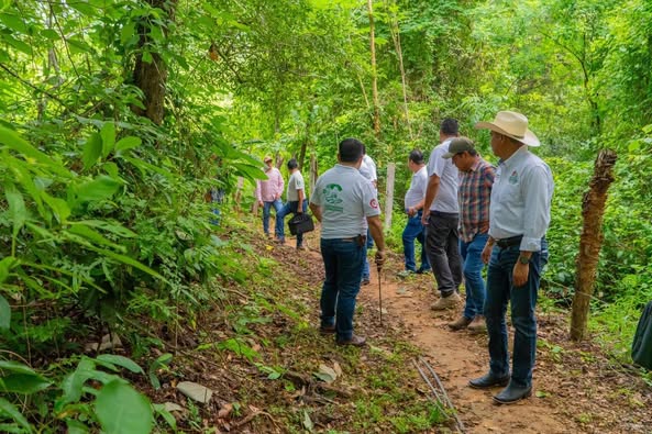 Imagen de Evaluando alternativas de acceso seguro para Barrio La Soledad