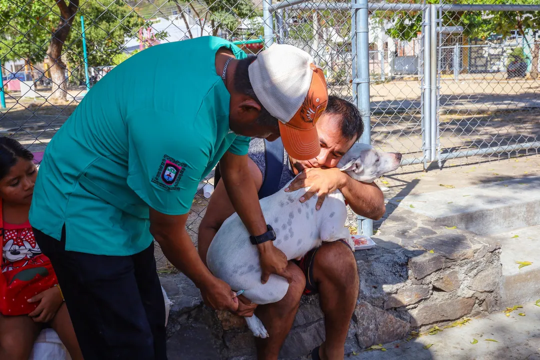 Santa Cruz Huatulco: Canine and Feline Sterilization Campaign