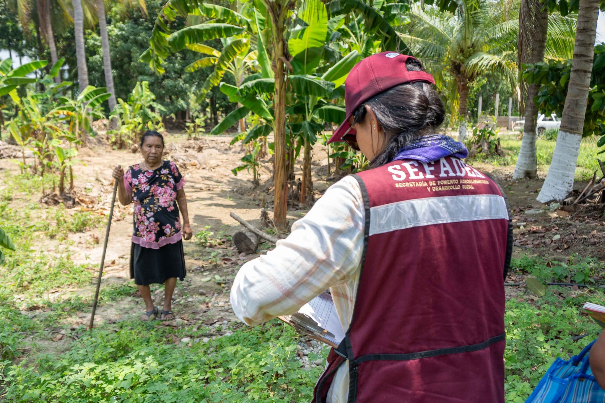 Imagen de Preventive Census for Effective Assistance
