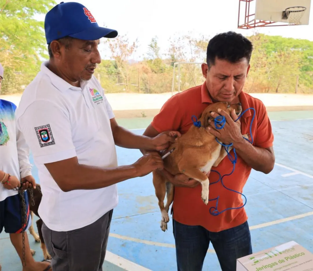Anti-Rabies Vaccination Campaign Continues in the Municipality