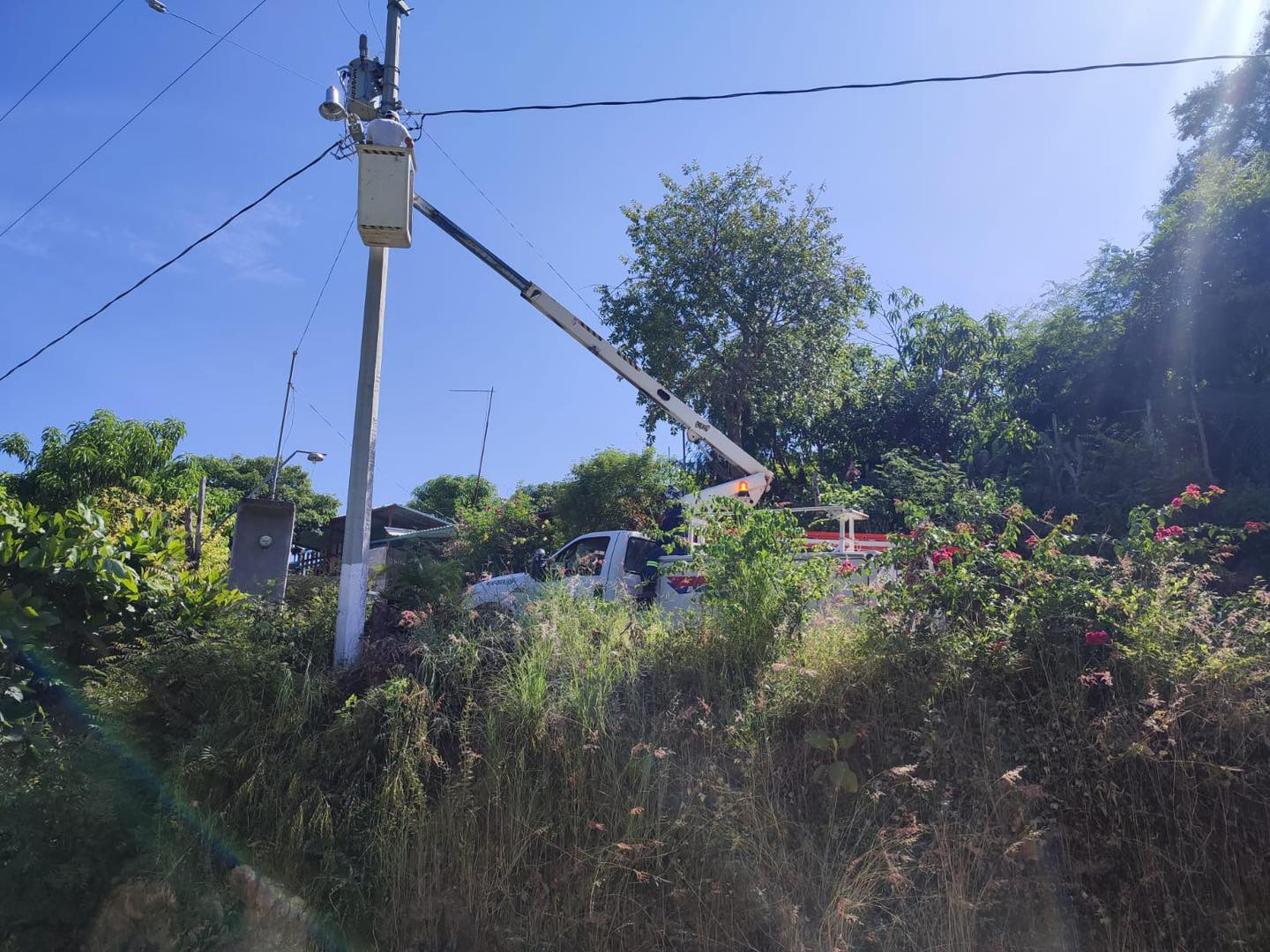 Renewal of Streetlights Continues