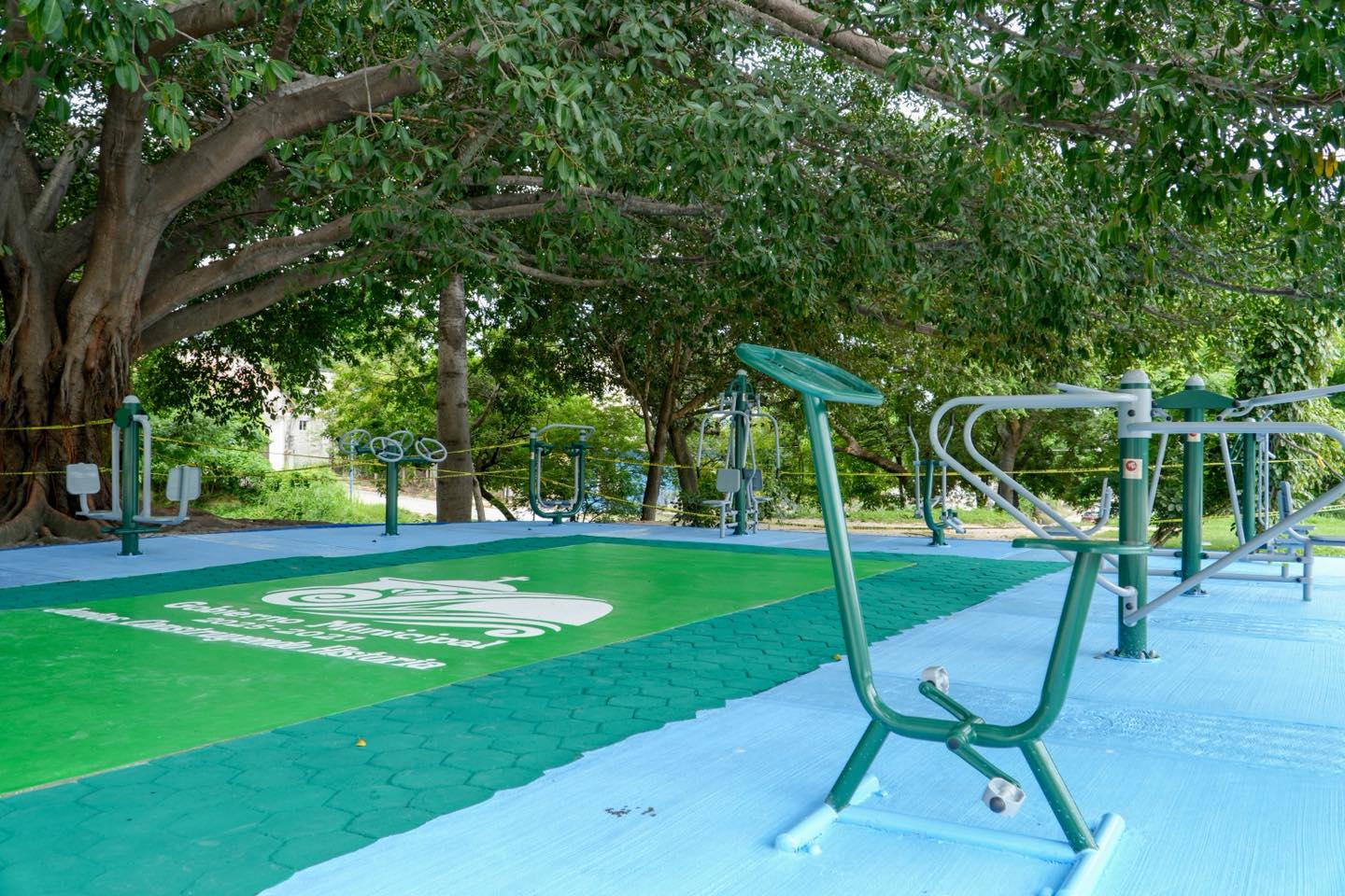 Imagen de Inauguración de gimnasio al aire libre