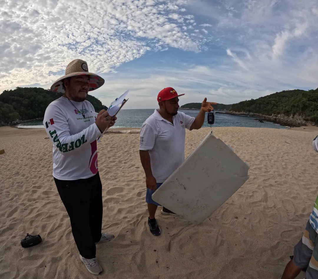 Seguimos cuidando Playa El Órgano