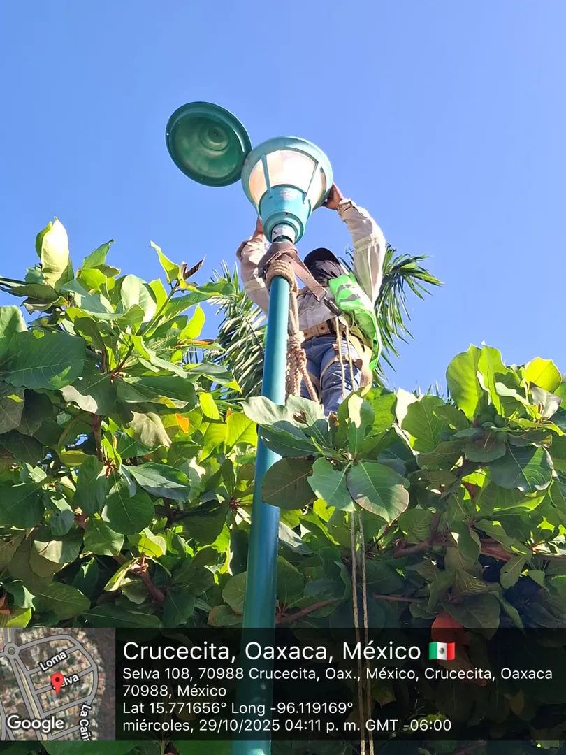 Imagen de Rehabilitación de luminarias en Sector O