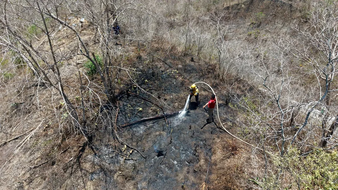 Imagen de Timely Response to Fire in Cuajinicuil