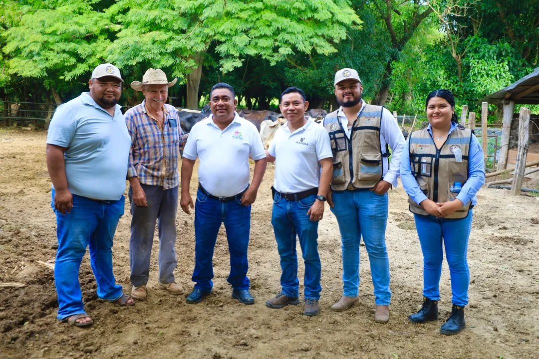 Imagen de Brigada contra el gusano barrenador