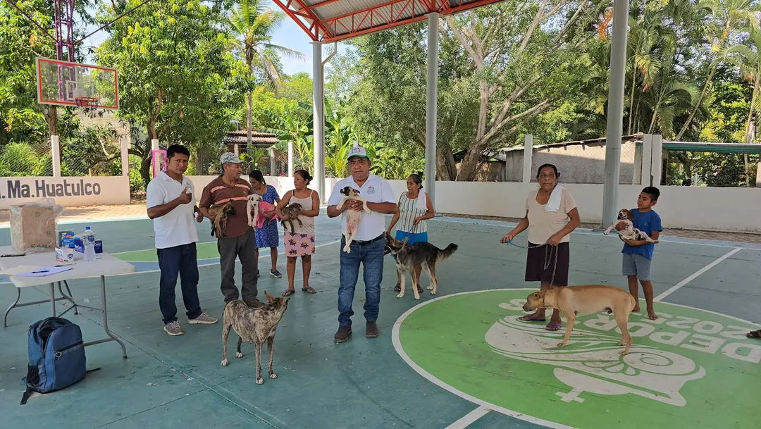 More Than 165 Dogs and Cats Received Veterinary Care