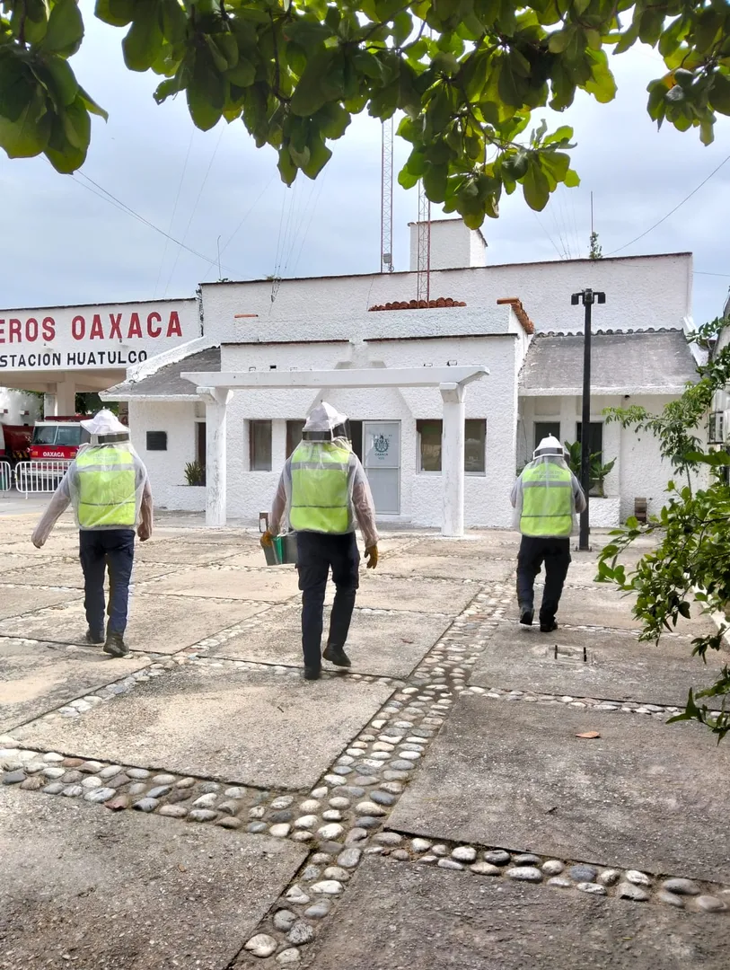  Protección Civil y Bomberos actúan oportunamente en Huatulco