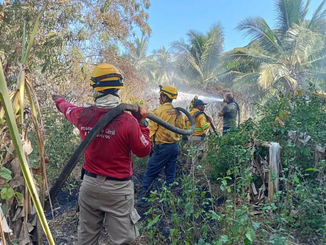 Response to Wildfire in Bajos del Arenal