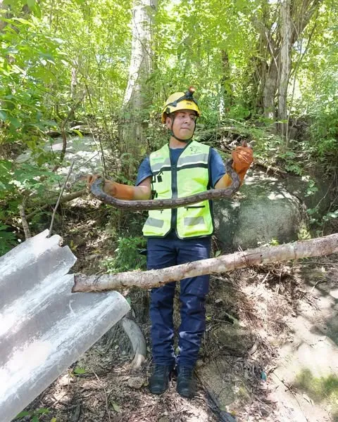 Imagen de Civil Protection Captures and Relocates Boa