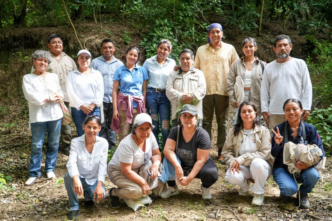 Promoting Bee Protection: 4th Huatulco Tourism Festival 2025