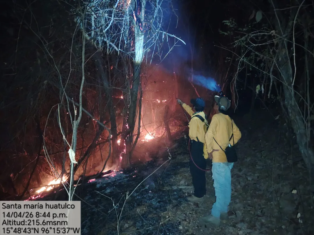 Attention and Monitoring of Fire in Todos Santos and Las Pozas Area