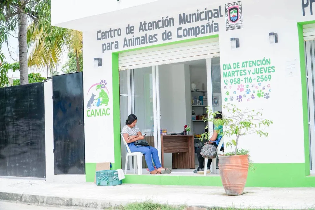 Schedule Your Pet's Sterilization at CAMAC