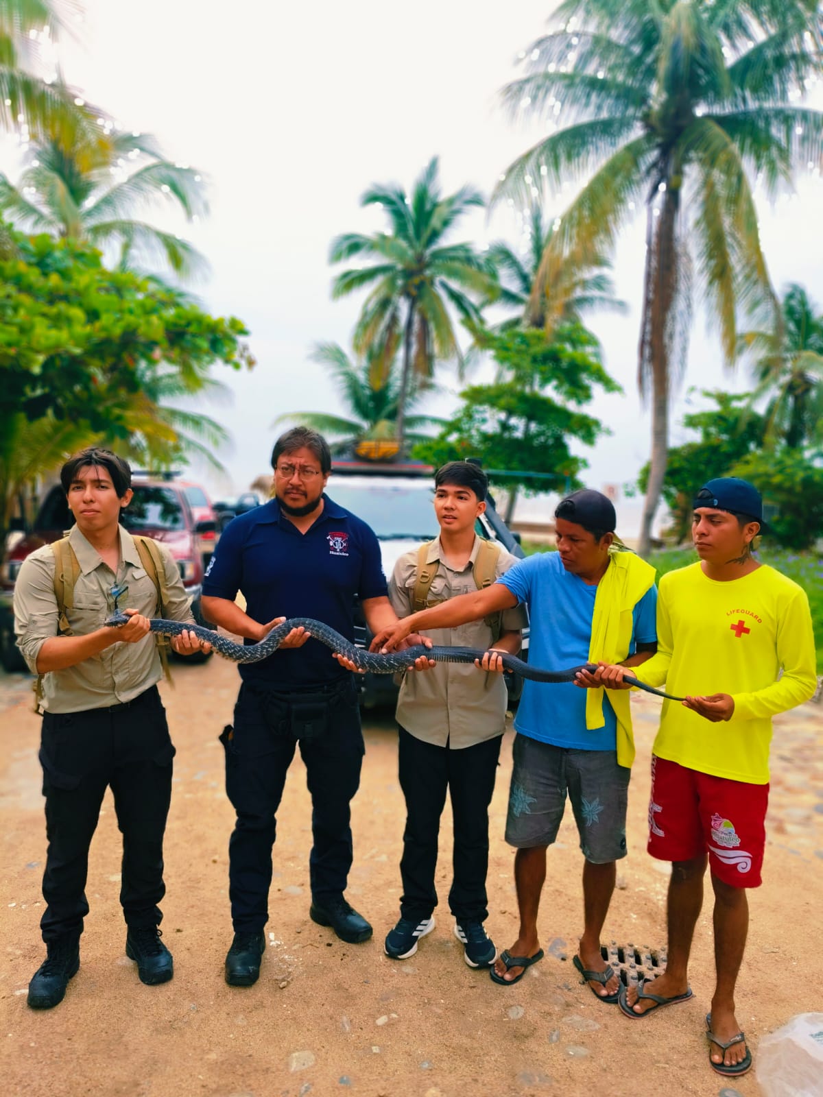 Civil Protection Responds to Snake Sighting Report in La Bocana Home