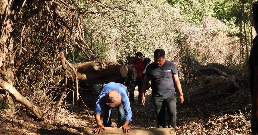 Huatulco Commemorates International Wetlands Day with Conservation Actions in Copalita