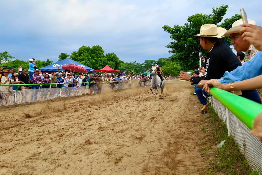 Imagen de Horse Races in Llano Ciruelos