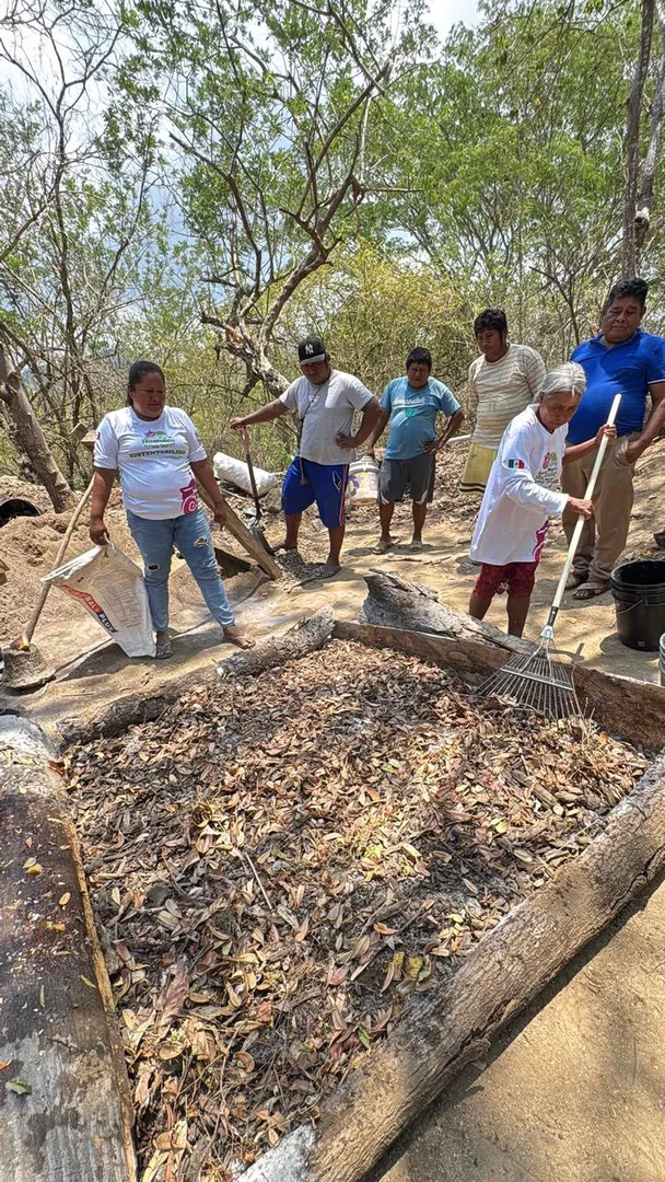Transforming Organic Waste into Life for Our Green Spaces