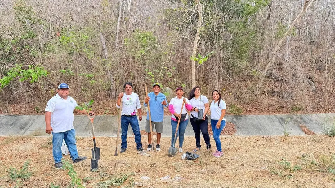 Together We Reforest to Transform Our Environment