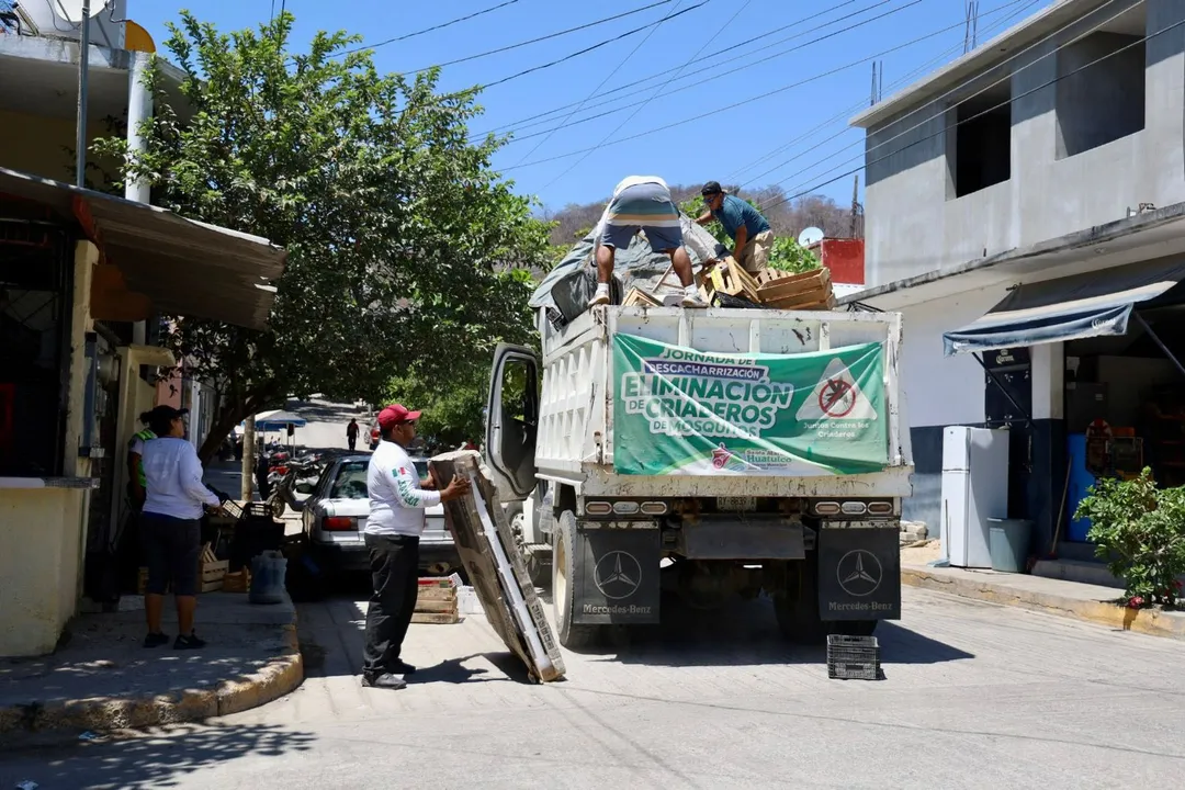 Mosquito Breeding Site Elimination Campaign Continues in Santa Cruz Huatulco