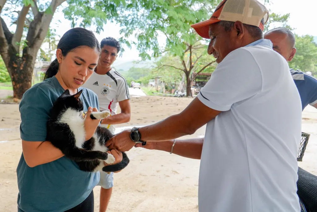 Prevention and Responsibility: Vaccination Day for Pets in Huatulco