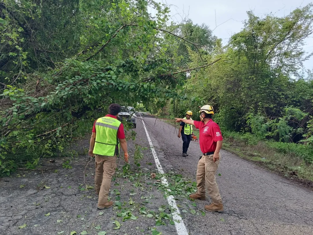 Imagen de Timely Response to Maintain Road Safety
