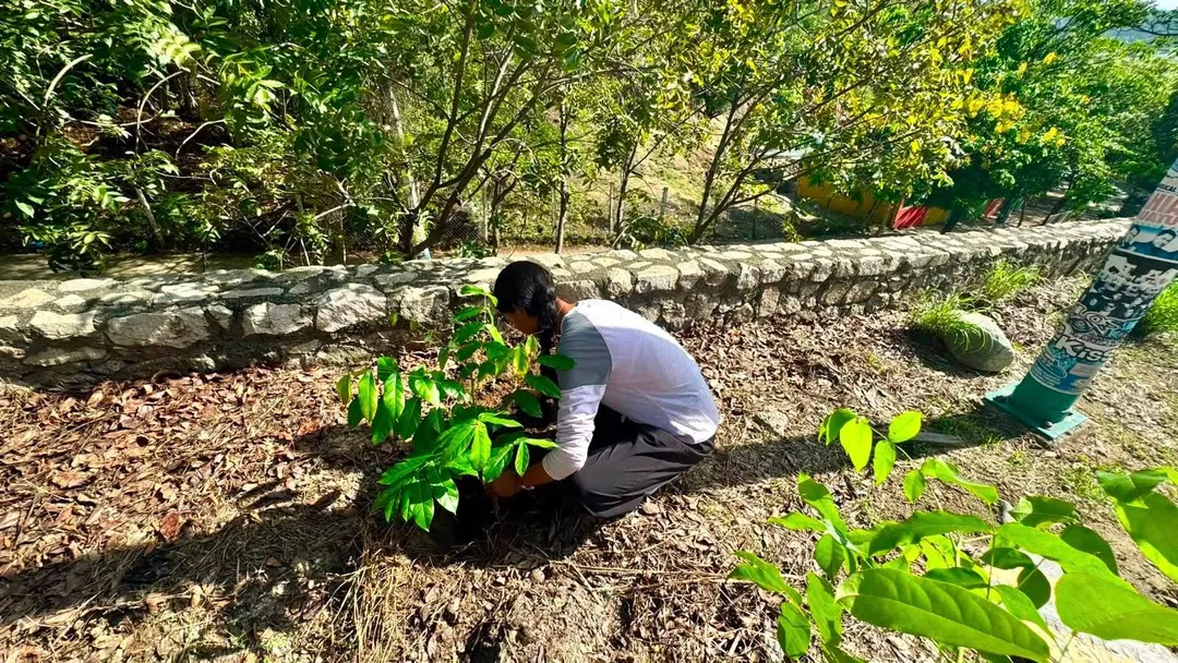 Imagen de We Promote Environmental Education and the Care of Our Environment