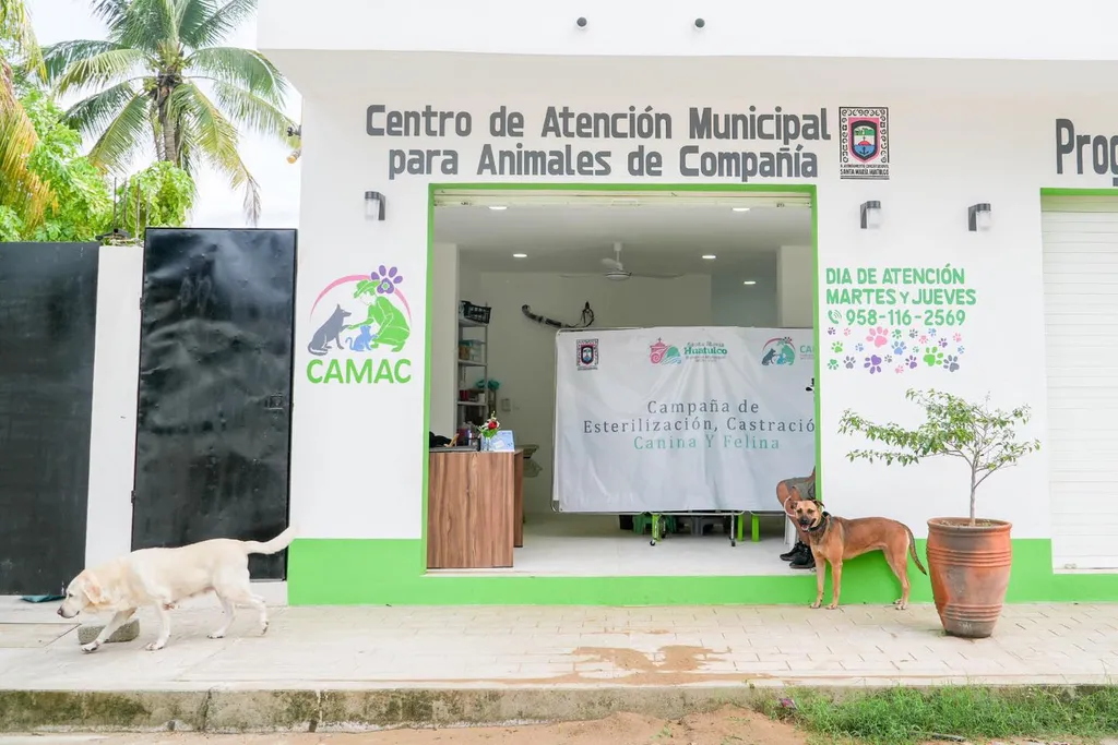 CAMAC: Attention and care for our companion animals