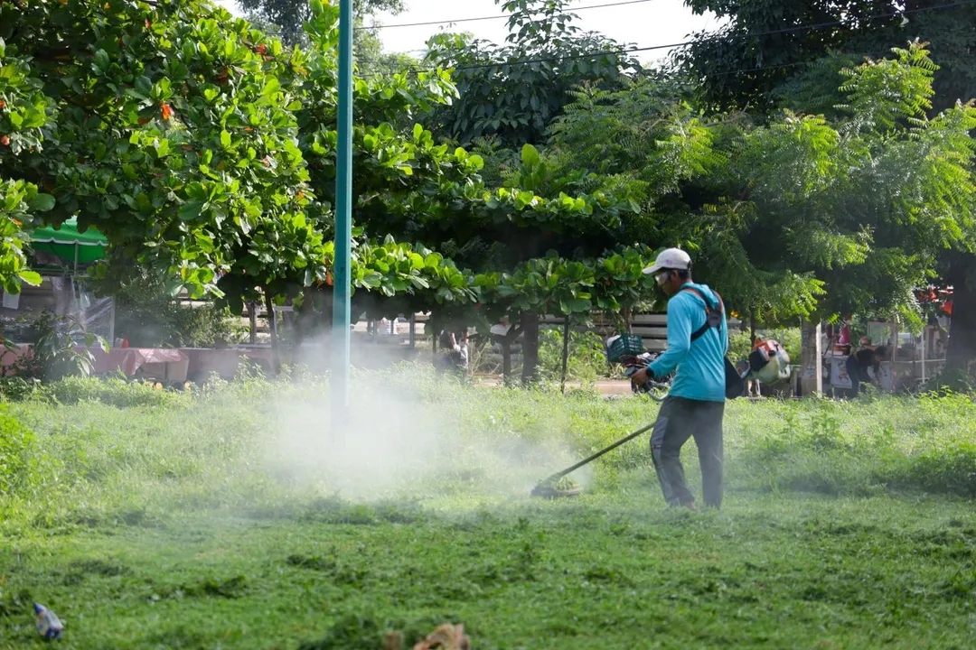 Improving Our Municipality