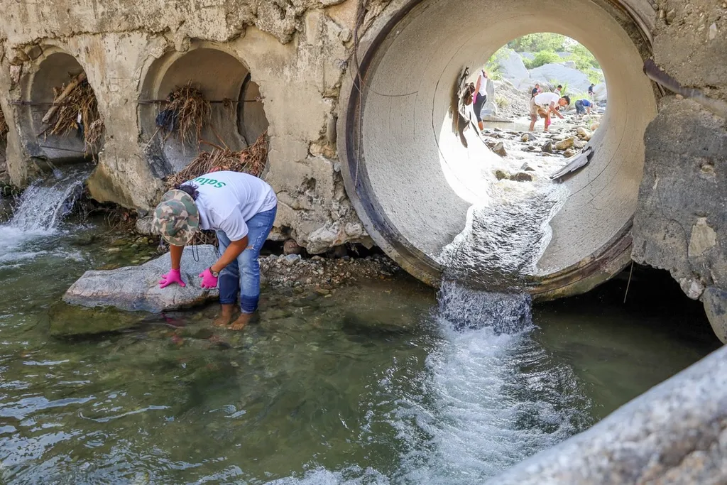 Preventive Measures in the Huatulco River Due to Mortality of Chacales