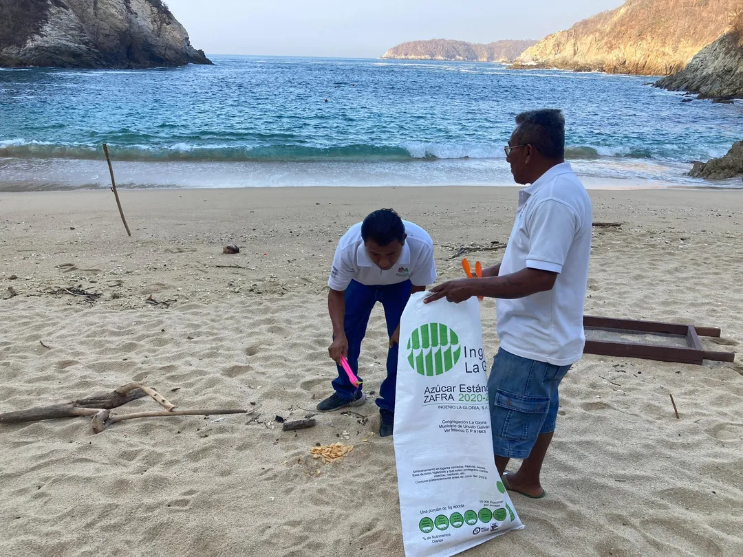 Cleanup at Playa Violín