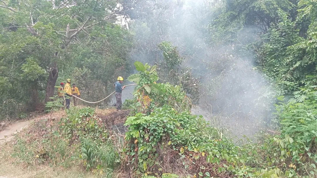 Fire Addressed Between 20 de Noviembre Neighborhood and San Agustín Housing Development
