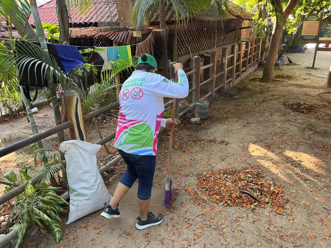 Permanent Maintenance to Preserve Our Beaches
