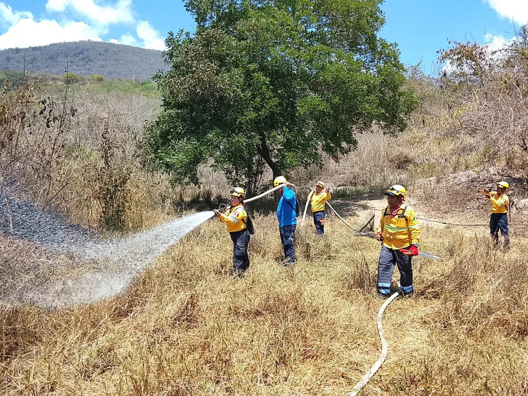 Fire Attention and Control in the Municipality