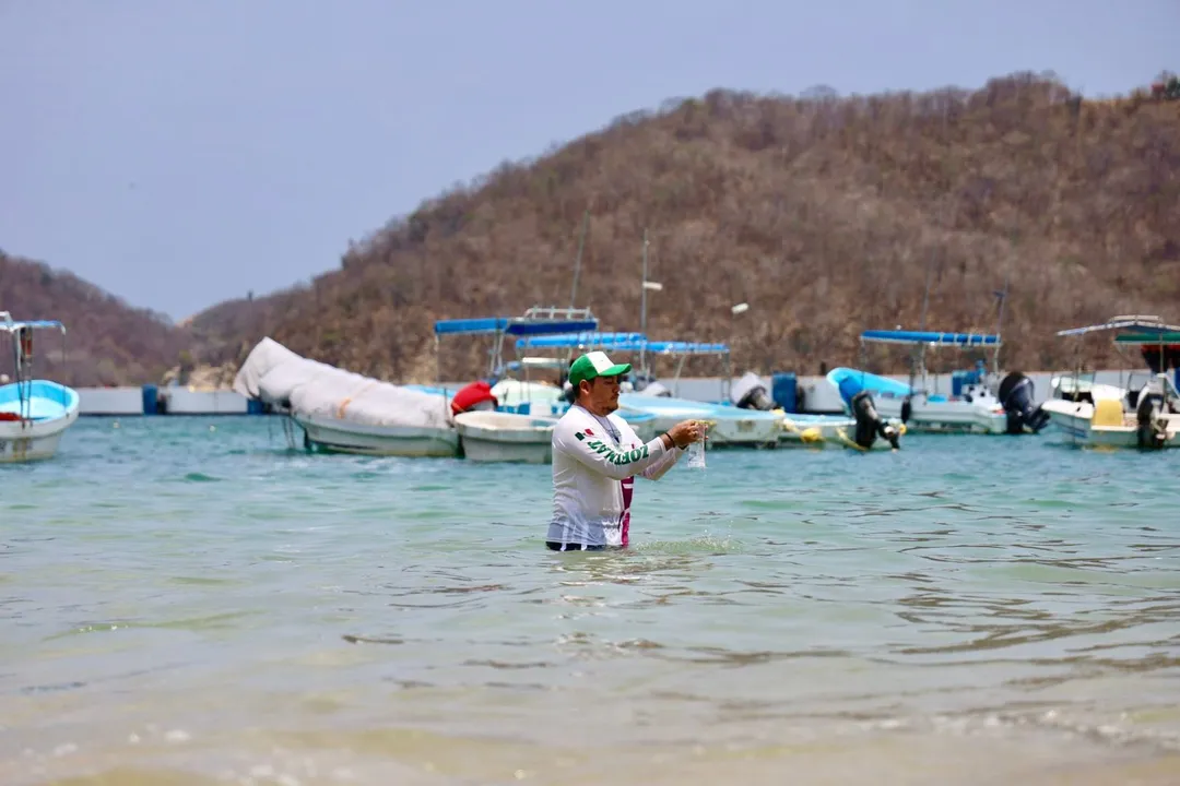 Water Quality Monitoring on Blue Flag Certified Beaches