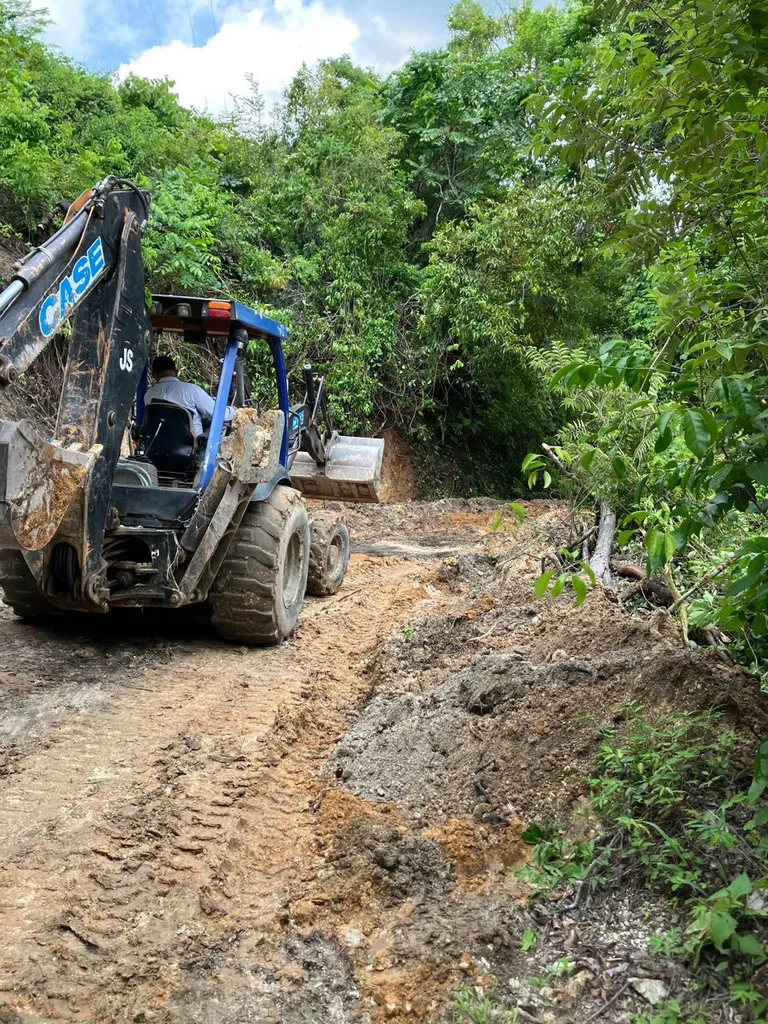 El Encinal: Moving Forward with Firm Steps