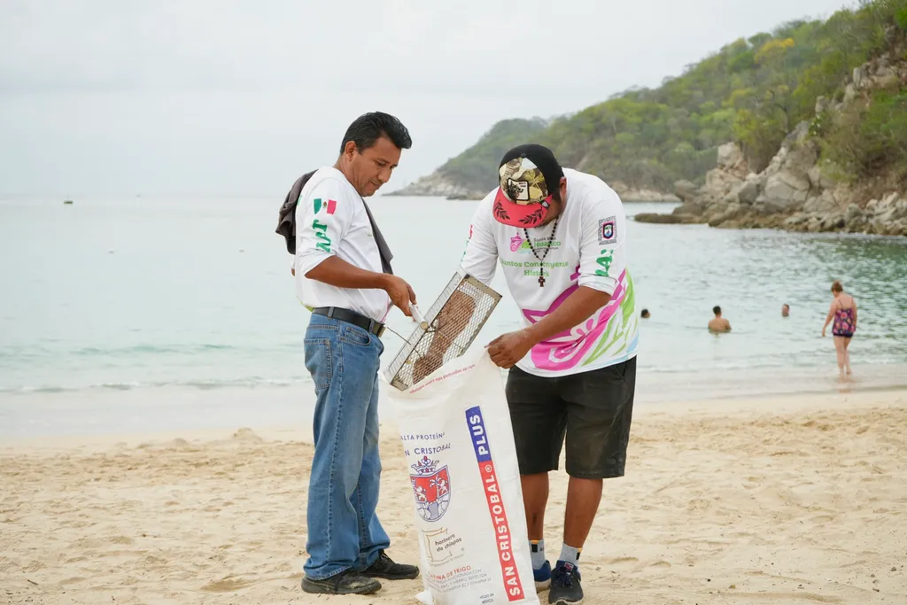 Imagen de Limpieza de Playas en La Entrega y Santa Cruz