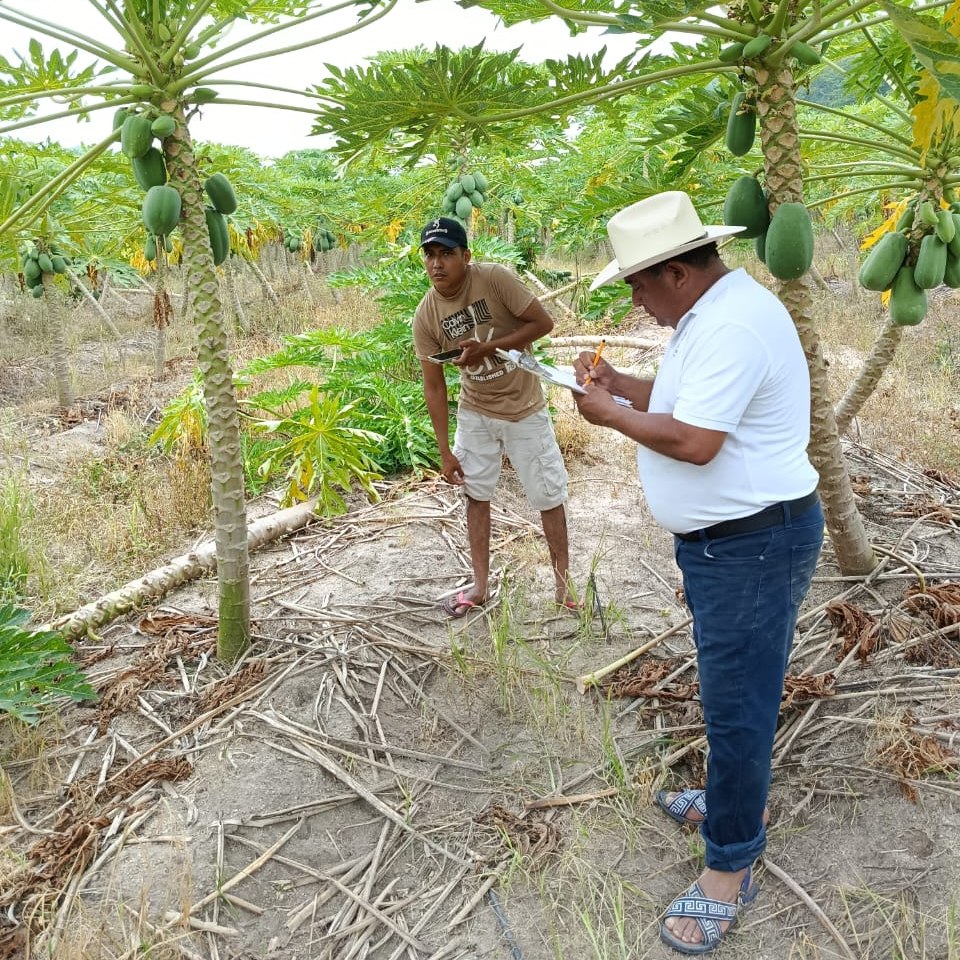 Imagen de Census Progresses in Productive Zones of Bajos del Arenal
