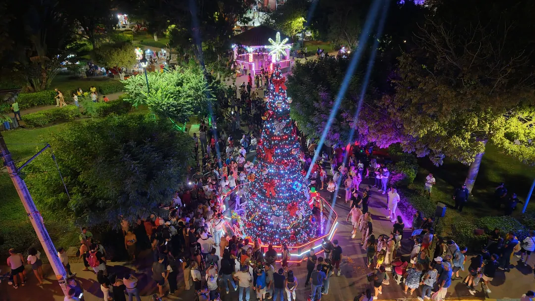 Imagen de La Crucecita: Gran encendido de pino navideño