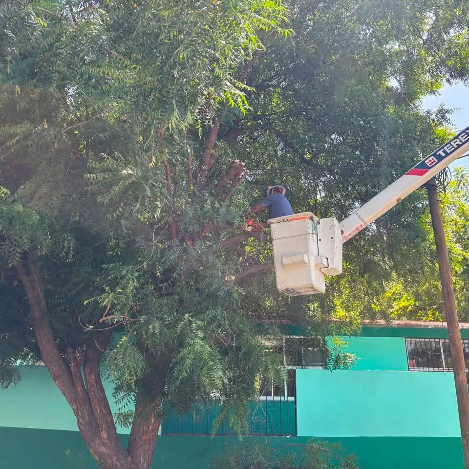 Pruning to Improve Traffic Flow in Sector J