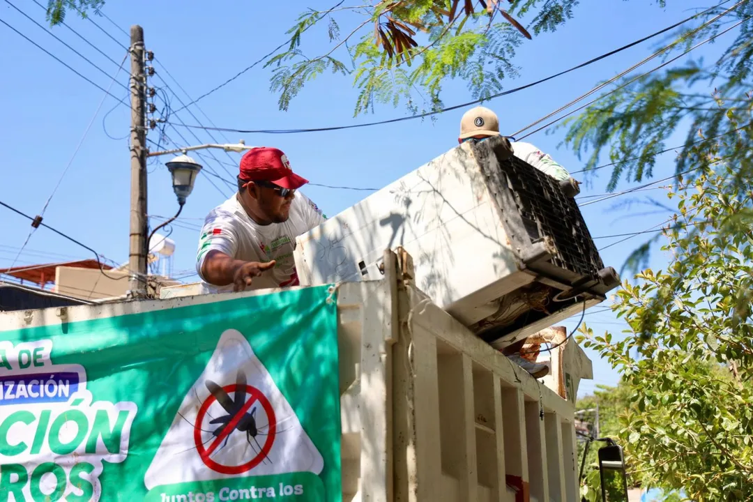 Mosquito Breeding Site Elimination Campaign Advances in Santa Cruz Huatulco