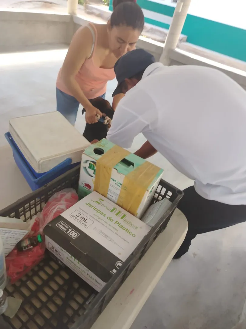 Imagen de Anti-Rabies Vaccination Campaign Continues in Huatulco