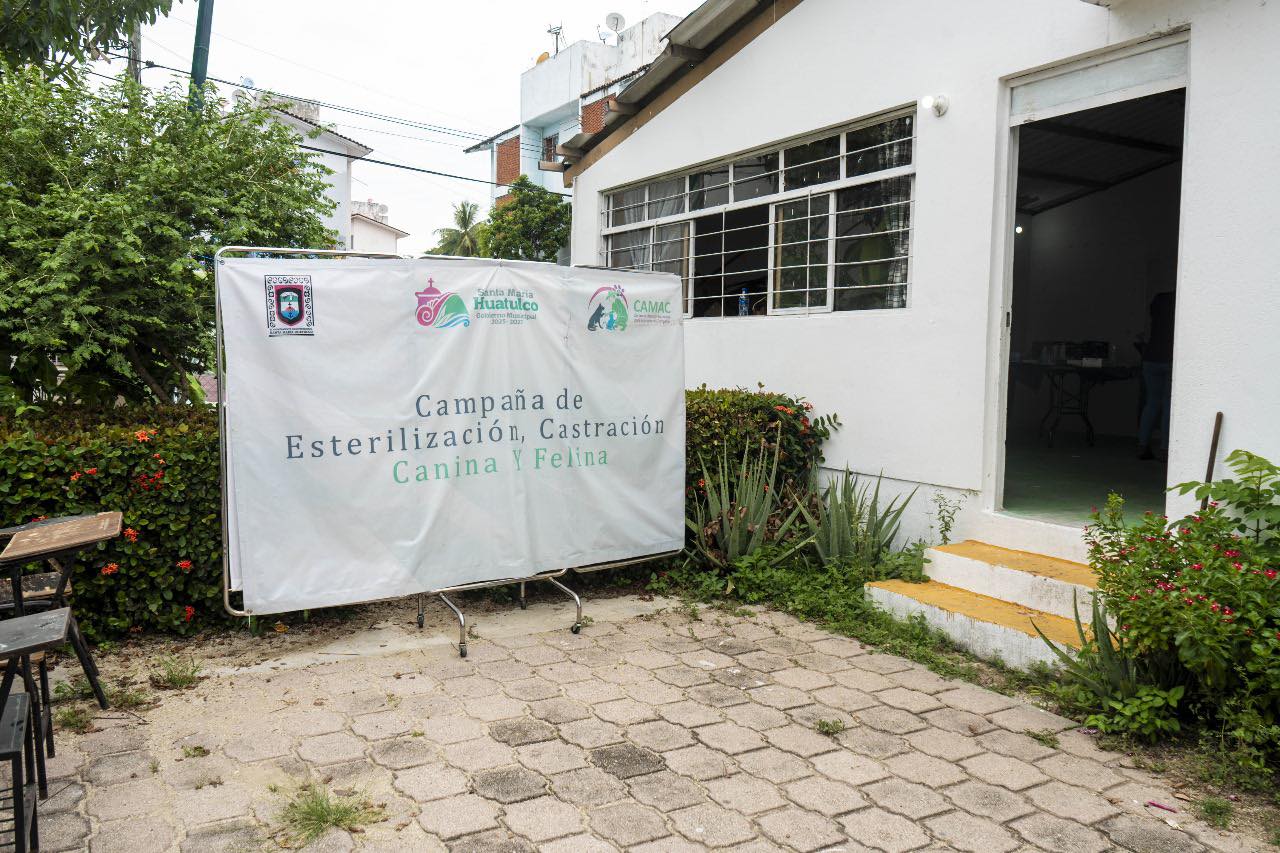 Sterilization and Castration Campaign in Infonavit
