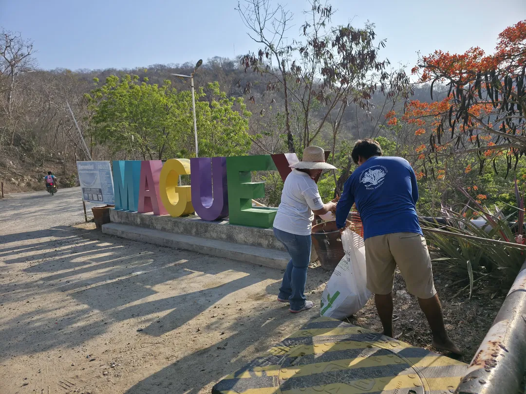 Cleanup at Maguey Bay