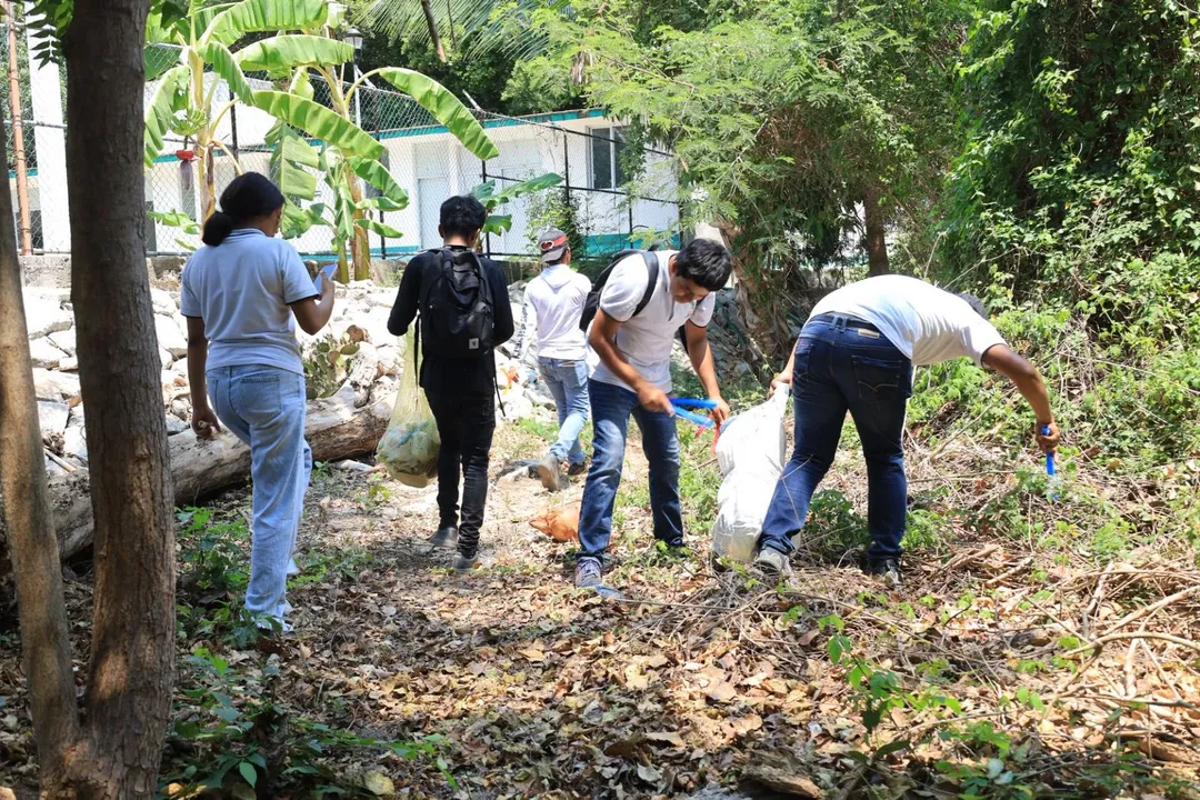  Promueven el cuidado del manglar y la educación ambiental
