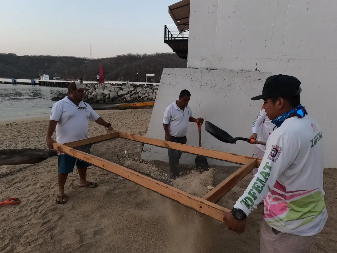 Comprehensive Cleanup at Playa Pescadores