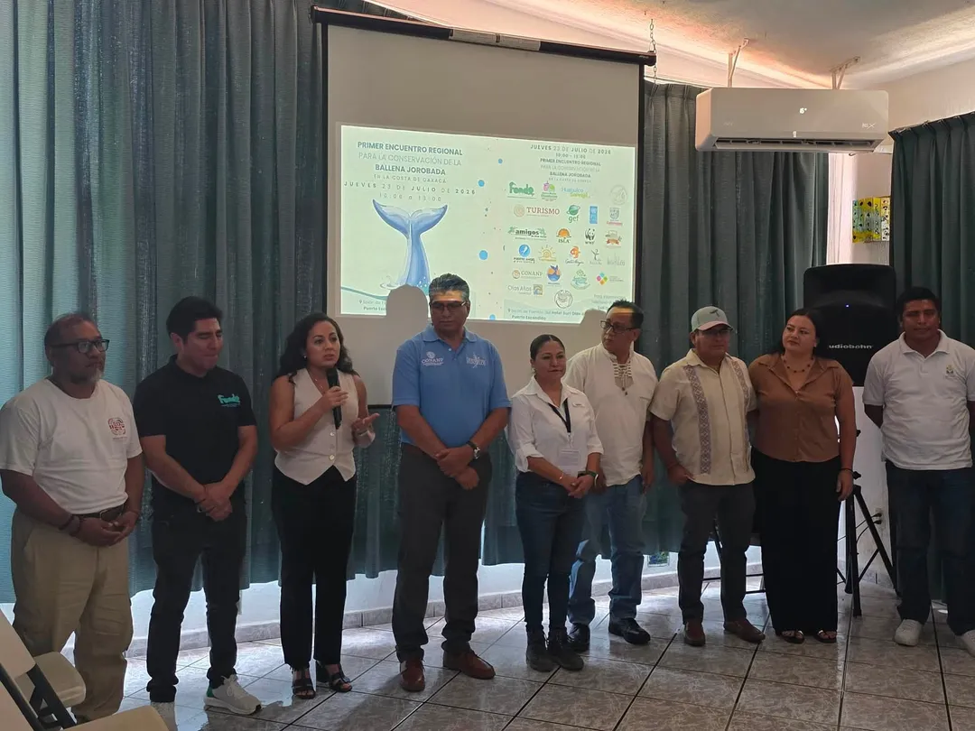 Huatulco fortalece la conservación de la ballena jorobada