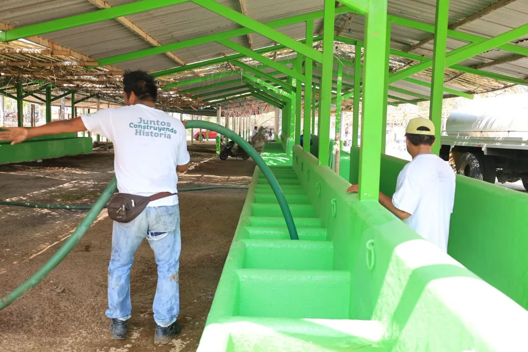 Imagen de Tradition and Livestock: Huatulco Prepares for the Expo Fair