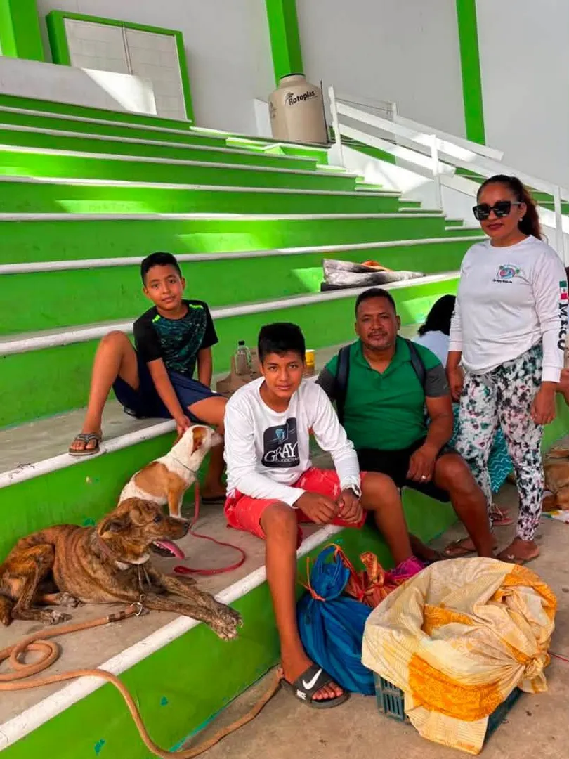 Más de 200 esterilizaciones en beneficio del bienestar animal en Santa María Huatulco