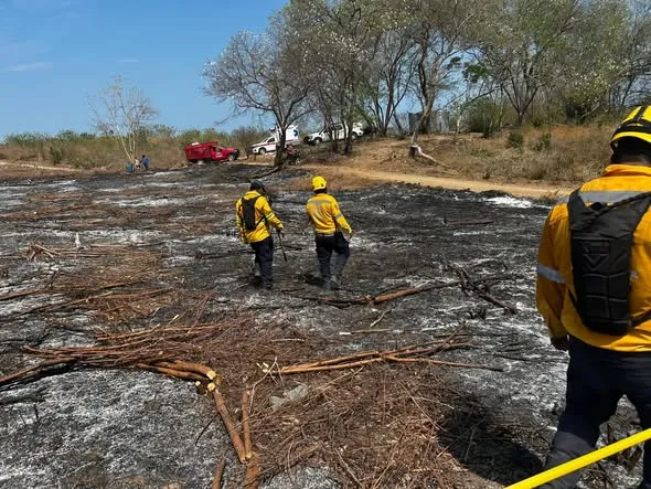 Forest Fire Response in La Erradura Area
